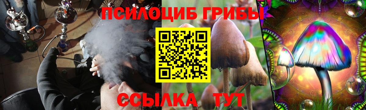 Псилоцибиновые грибы прущие грибы Апрелевка
