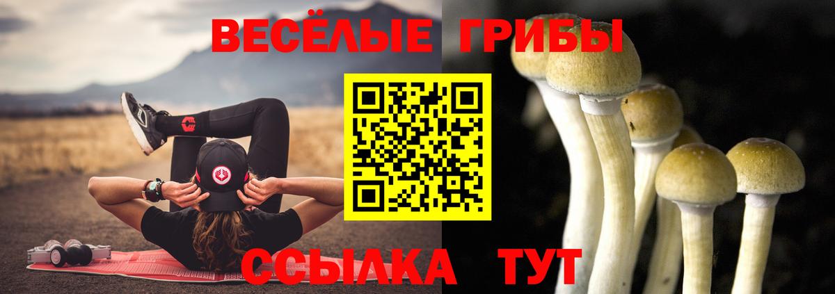 Апрелевка  Псилоцибиновые грибы ЛСД  Вход с VPN 